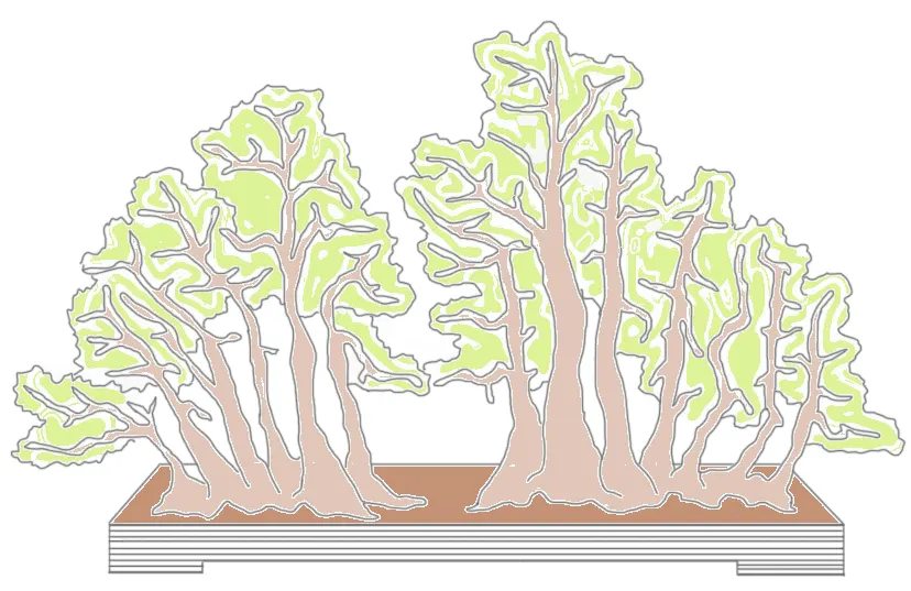 Bonsai style