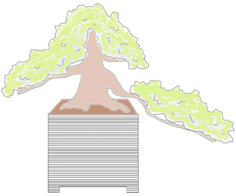 Bonsai style