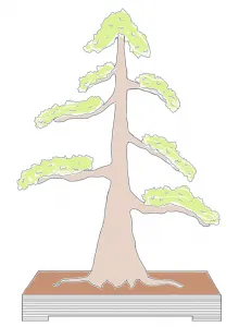 Bonsai style