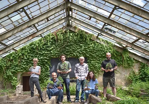 The first group of the bonsai courses