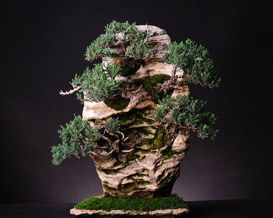 ღვია