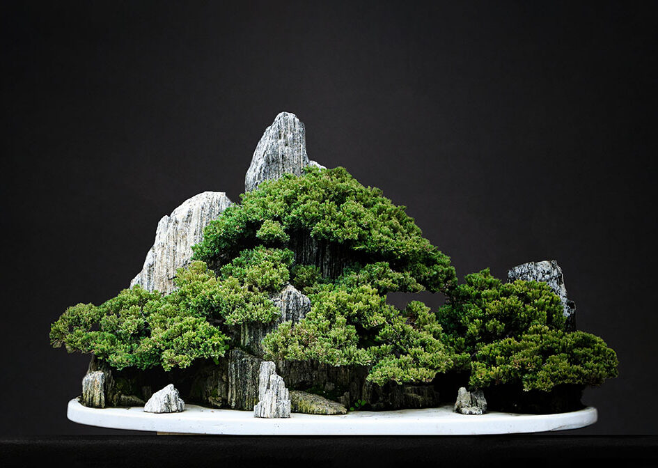 ღვიის მინიატურული ლანდშაფტი.