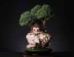 ნაძვი სიმაღლე: 40 სმ