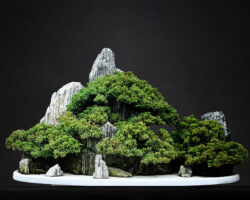 ასაკი ≈ 25 წელი. სიმაღლე: 50 სმ